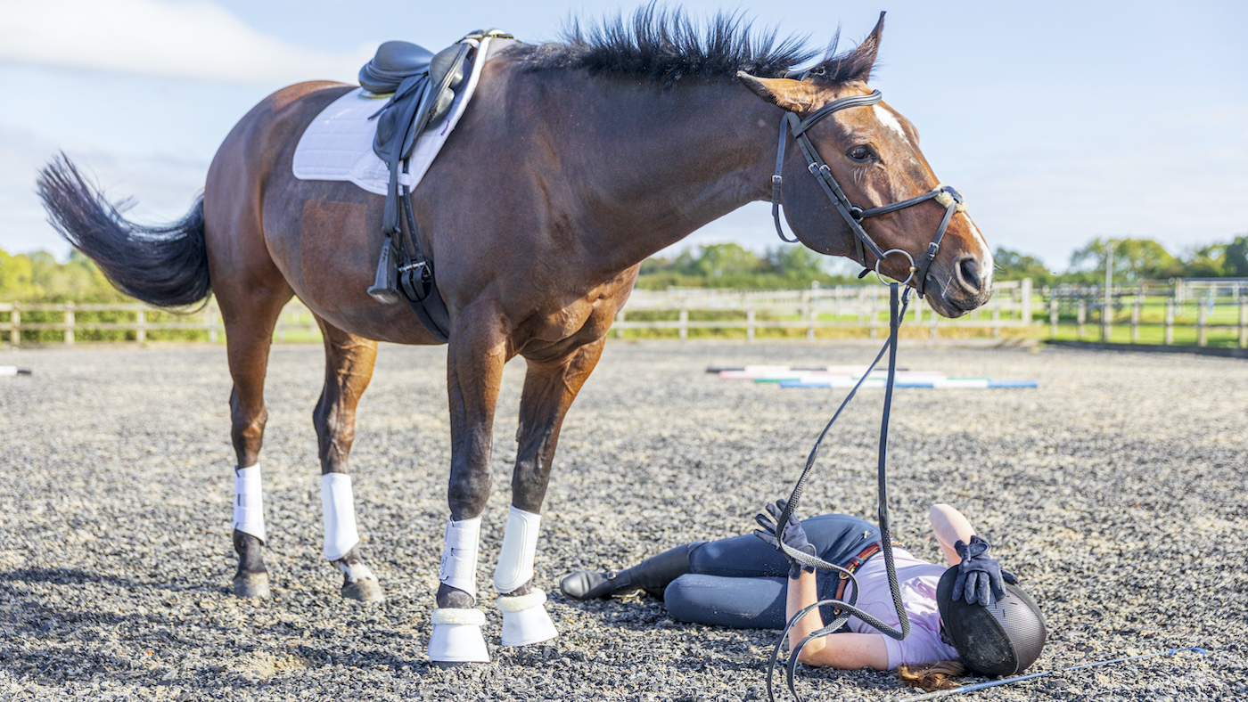 Equine Accident Injuries