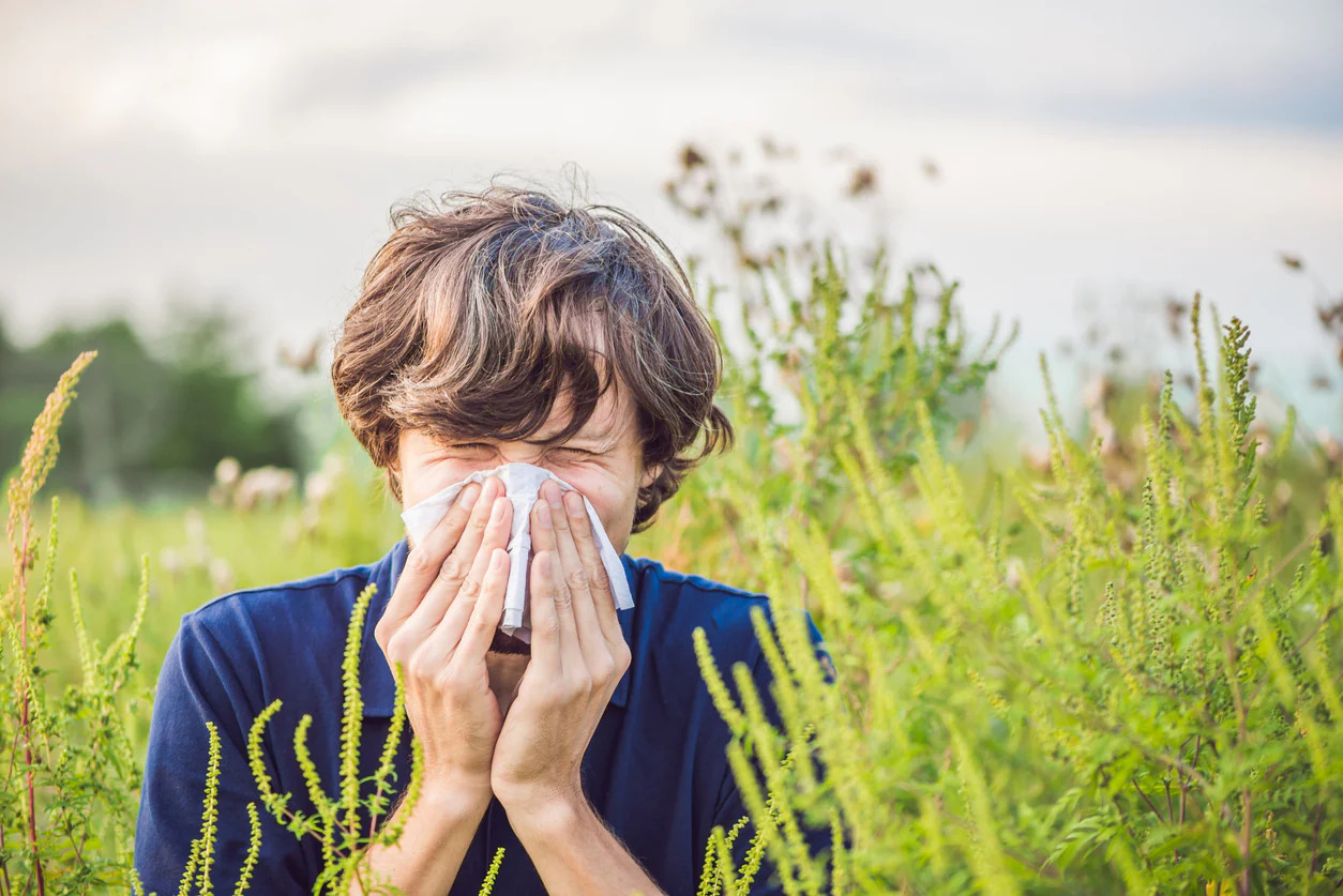 Summer Allergies